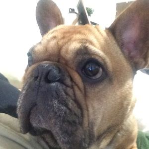 Meet your Posher, Nancy